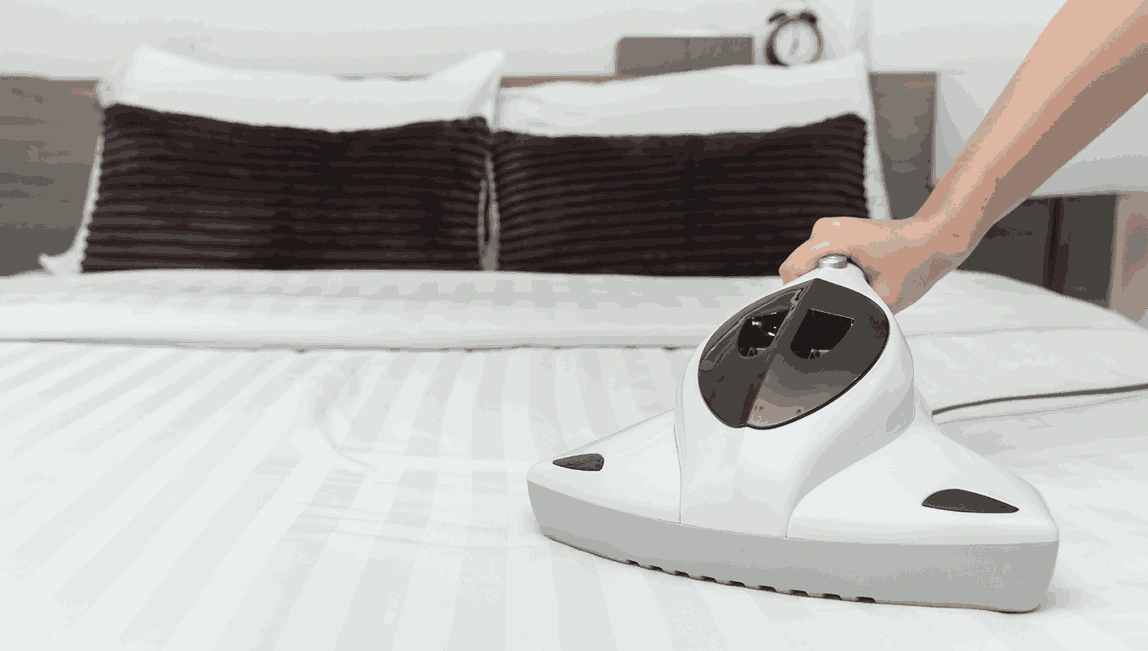 Professional Mattress Cleaning Gardenvale
